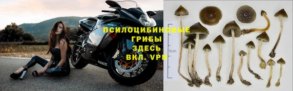 гидропоника Дмитровск