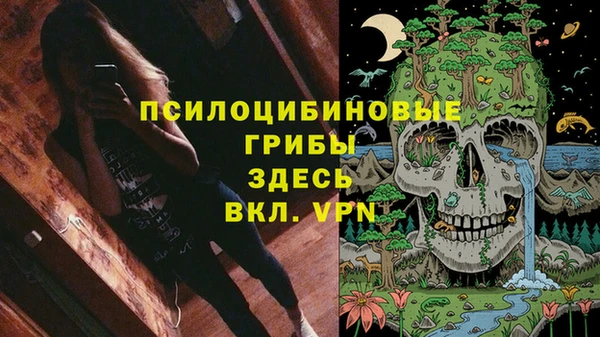 соль курить ск Дмитриев