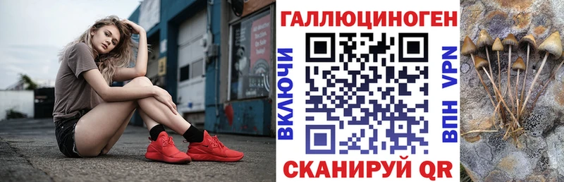 Купить закладки  Североморск  Галлюциногенные грибы Psilocybine cubensis 
